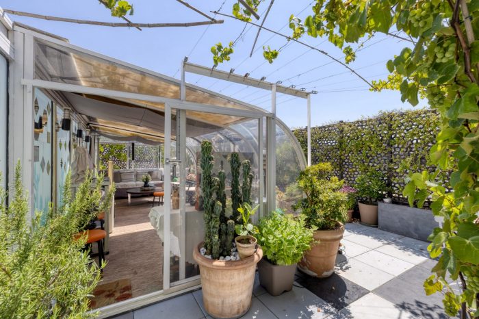 Terrasse plein air avec vigne