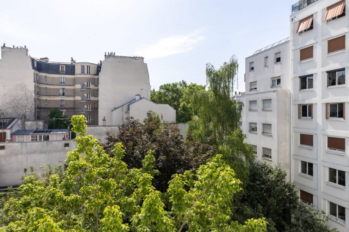 Vue depuis les fenêtres